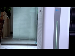 D9L-VIDEO UTAMA