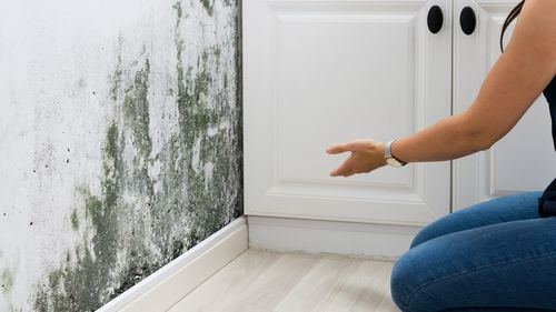 china latest news about Volatile Organic Compounds (VOCs) Released by Plants and Their Impact on Air Quality