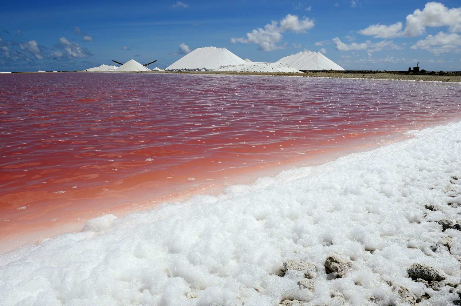 Latest company news about The Impact of Ocean Salt Spray on Air Quality and the Benefits of Air Purification
